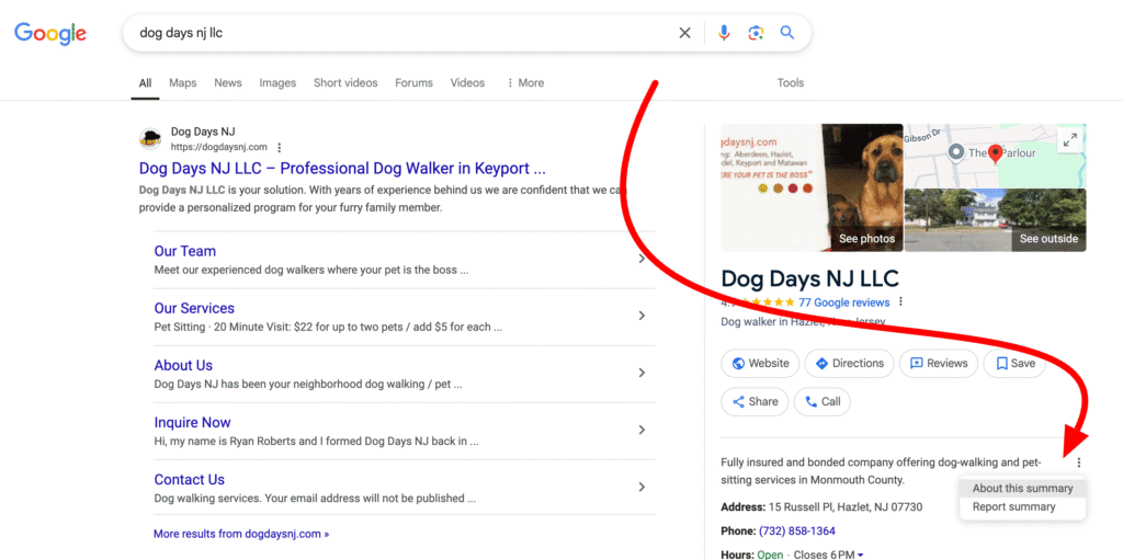 Imagem mostrando resumos de empresas na pesquisa do Google gerados por IA